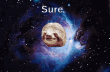 a picture of a sloth in space with the caption sure