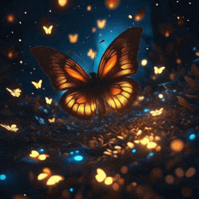 Mariposas Colores GIF - Mariposas Colores GIFs