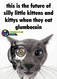 glumbocoin glumbocorp