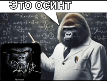 a gorilla in a lab coat stands in front of a blackboard with math equations on it