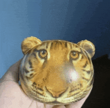 Tiger Stress Ball GIF - Tiger Stress Ball Silly GIFs