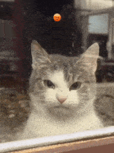 a gray and white cat looking out a window with a smiley face hanging from the glass
