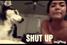Husky Shut Up GIF - Husky Shut Up Slap GIFs