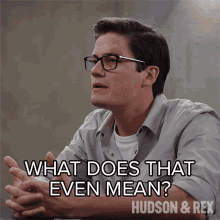 What Does That Mean Jesse Mills GIF - What Does That Mean Jesse Mills Hudson And Rex GIFs