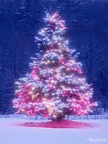 Christmas Tree Xmas Tree GIF