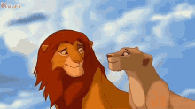 Humans Have Become Danger Circle Of Life Animals GIF