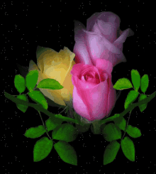 Roses For You GIF - Roses For You Sparkles GIFs