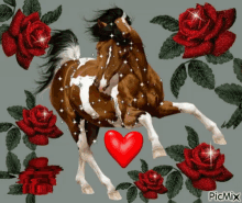 red roses horse