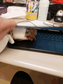 a blue laptop is on a desk next to a container that says ethernet
