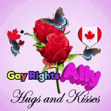 a poster that says gay rights ally hugs and kisses with roses and butterflies