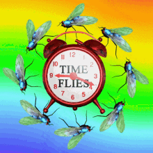 Time Flies Time Fly GIF - Time Flies Time Fly Time Is Flying GIFs