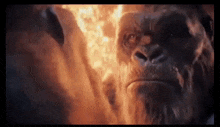 King Kong Beat Up GIF