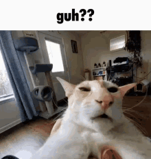 Guh Cat GIF - Guh Cat GIFs