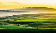 Nalati Grassland GIF