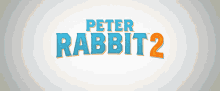 Peter Rabbit2 The Runaway GIF - Peter Rabbit2 The Runaway Movie GIFs
