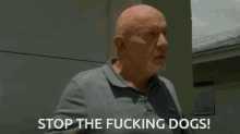 mike ehrmantraut mike better call saul stop the fucking dogs mike somebody stop the dogs mike mike stop the dogs