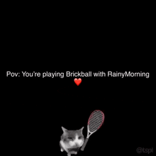 Rainy Morning Cat GIF - Rainy Morning Cat Tennis GIFs