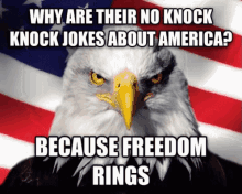 eagle knock knock freedom rings