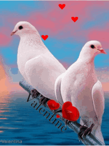 Lalit Bird GIF - Lalit Bird Hearts GIFs