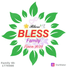 Blessfamily GIF - Blessfamily Bless GIFs