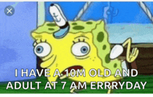 a cartoon of spongebob saying " i have a 10m old and adult at 7 am everyday "