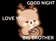 Goodnight Big Brother Good Night GIF - Goodnight Big Brother Good Night Big Brother GIFs