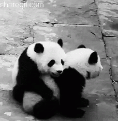 Panda Hug GIF - Panda Hug Comfort GIFs