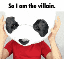 a man wearing a panda mask with the words so i am the villain above it