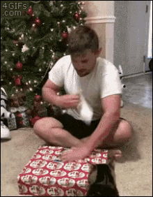 Funny Animals Merry Christmas GIF - Funny Animals Merry Christmas Cat Attack GIFs