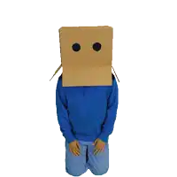 a person wearing a cardboard box on their head with two question marks above it