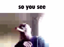 So You See GIF