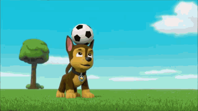 Paw patrol best sale soccer ball