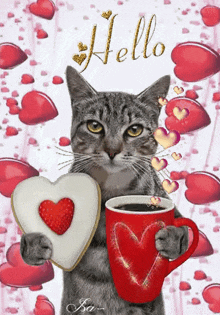 Chat Cat GIF - Chat Cat Hello GIFs