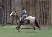 Cavalo Cavalgar GIF - Cavalo Cavalgar Mara Maravilha GIFs
