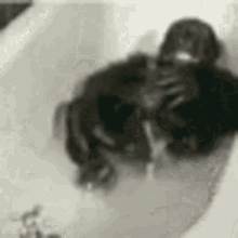 Monke Monkey GIF
