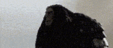 a close up of a cartoon character with long hair and armor standing in front of a white background .