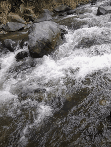 River Water GIF - River Water GIFs