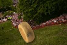 Crushed By Giant Cheese Wheel - Cheese GIF
