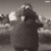 a black and white photo of a teddy bear standing in front of a city .