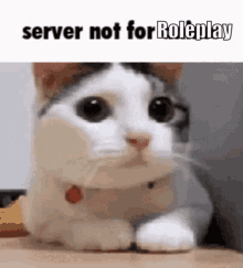 Server Rules Rules GIF - Server Rules Rules Discord Rules GIFs