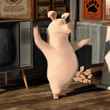خنزير Pig GIF - خنزير Pig Dance GIFs