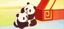 Baby Panda GIF - Baby Panda Cute GIFs