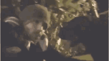 a man in a hat is standing next to a woman in a dark room .