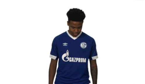 S04 Schalke Sticker - S04 Schalke Bundesliga Stickers