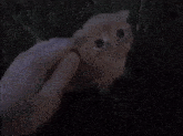 a close up of a person 's hand holding a small object in the grass .