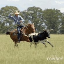 Catching Cow Tyler Kijac GIF - Catching Cow Tyler Kijac Ultimate Cowboy Showdown GIFs
