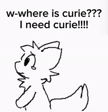 a drawing of a cat with the words w-where is curie?? i need curie