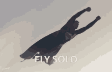 Fly Fly Solo GIF - Fly Fly Solo Solo GIFs