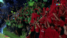 Celebración Equipo Rojo GIF - Celebración Equipo Rojo Equipo Verde GIFs