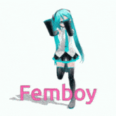 a 3d model of hatsune miku with the word femboy in pink